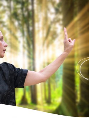 הזמנה לסדנה הגדולה