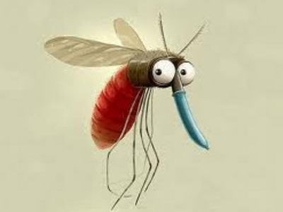 יתושים – מה אפשר לעשות כדי להיעקץ פחות?
