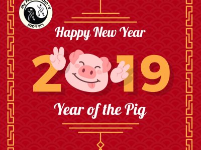 2019 שנת חזיר אדמה- מה היא מביאה?